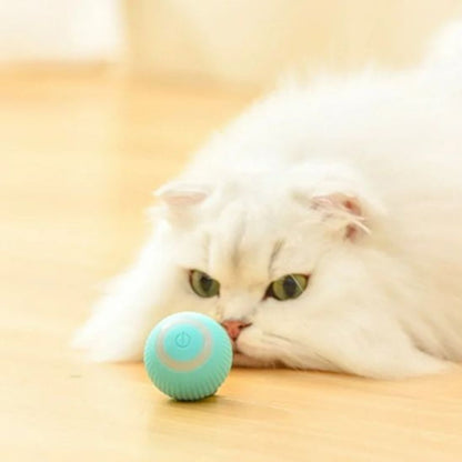 jouet-chat-interactif-chasse
