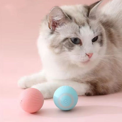 jouet-chat-interactif-duo