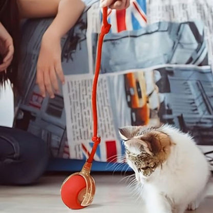 jouet-chat-interactif-jeu