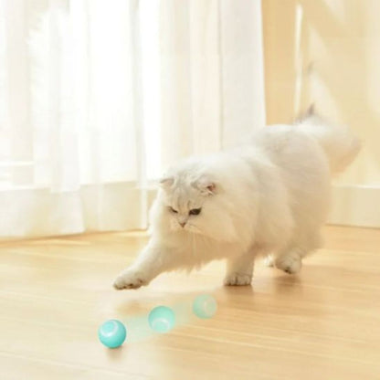 jouet-chat-interactif-roule