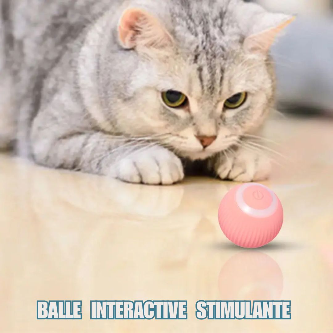 jouet-chat-interactif-stimulant