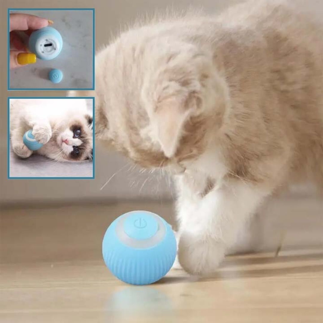 jouet-chat-interactif-usb