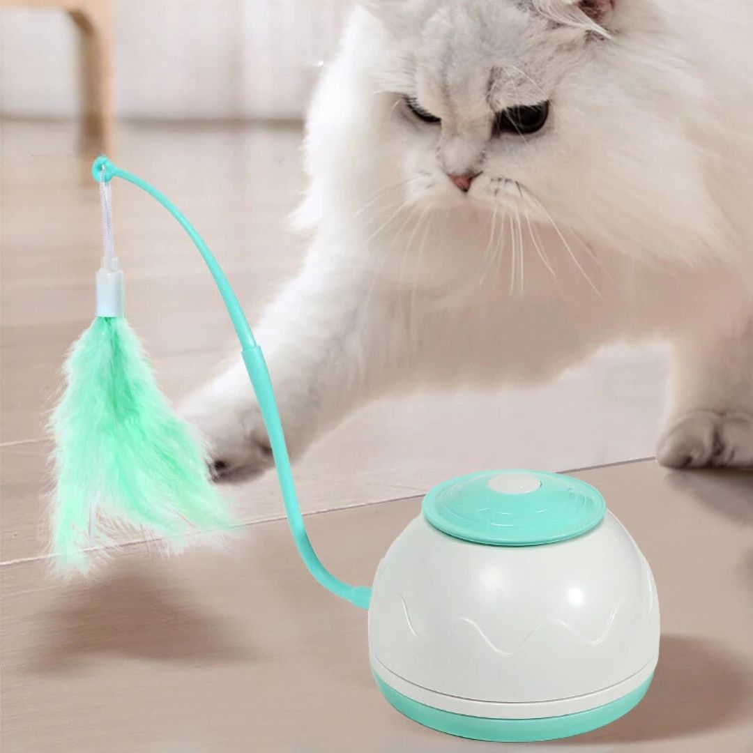 Jouet pour chat | CrazyPlume™