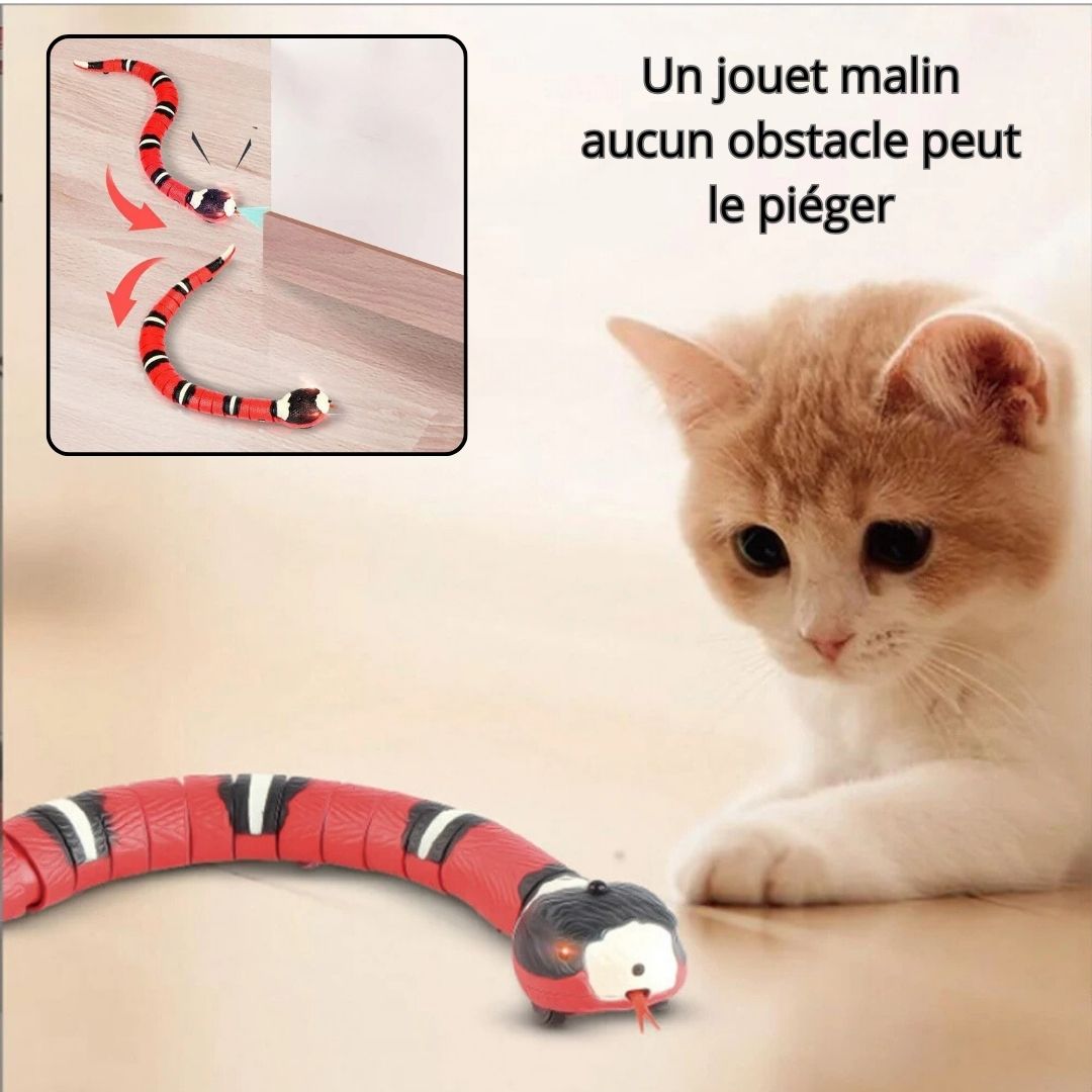 jouet-pour-chat-capteur