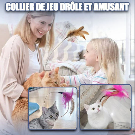 Jouet pour chat | ColiPlume™