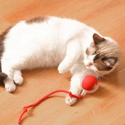 Jouet chat interactif | XtremePaw™