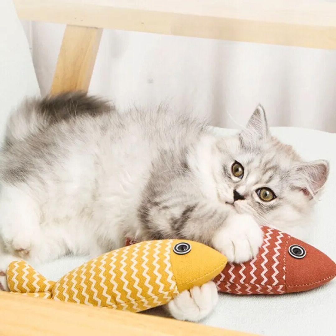 Jouet pour chat | Nip N Fish™