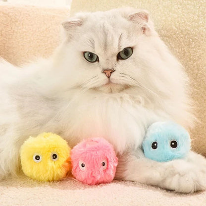 jouet-pour-chat-couleur