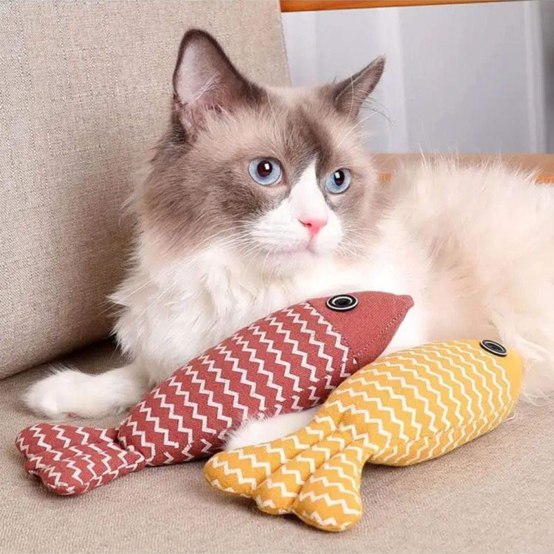 jouet-pour-chat-deux-couleurs