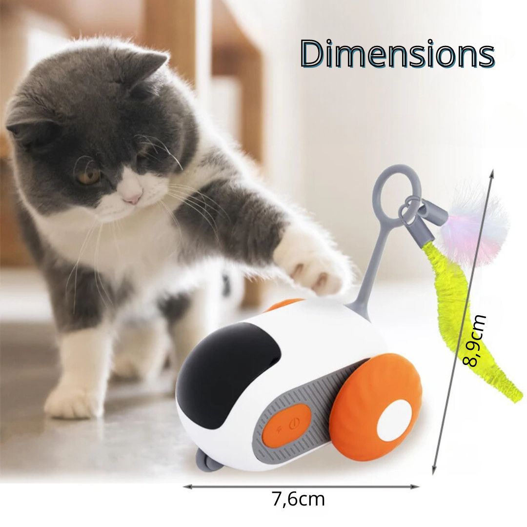 jouet-pour-chat-dimension