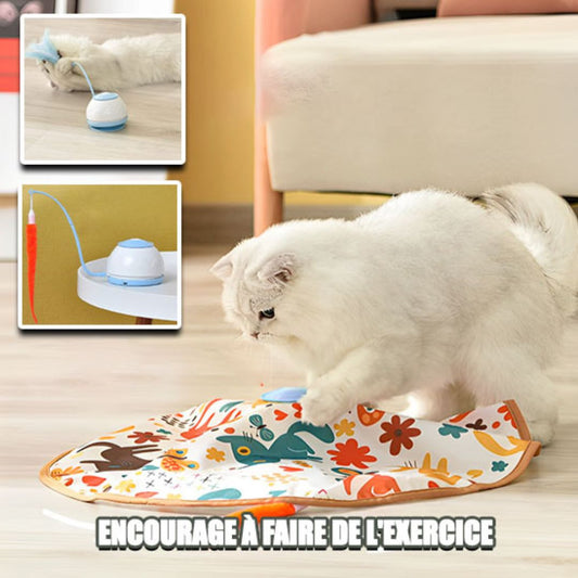 Jouet pour chat | CrazyPlume™