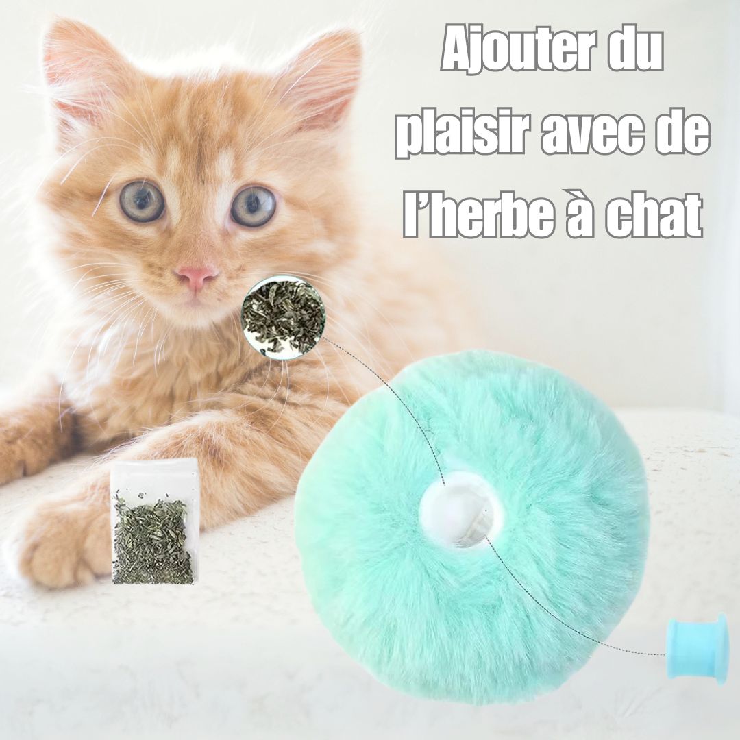 Jouet pour chat | JouFélin™