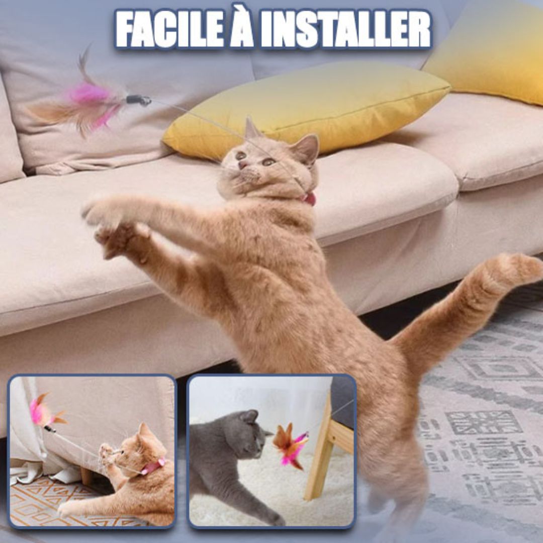 Jouet pour chat | ColiPlume™