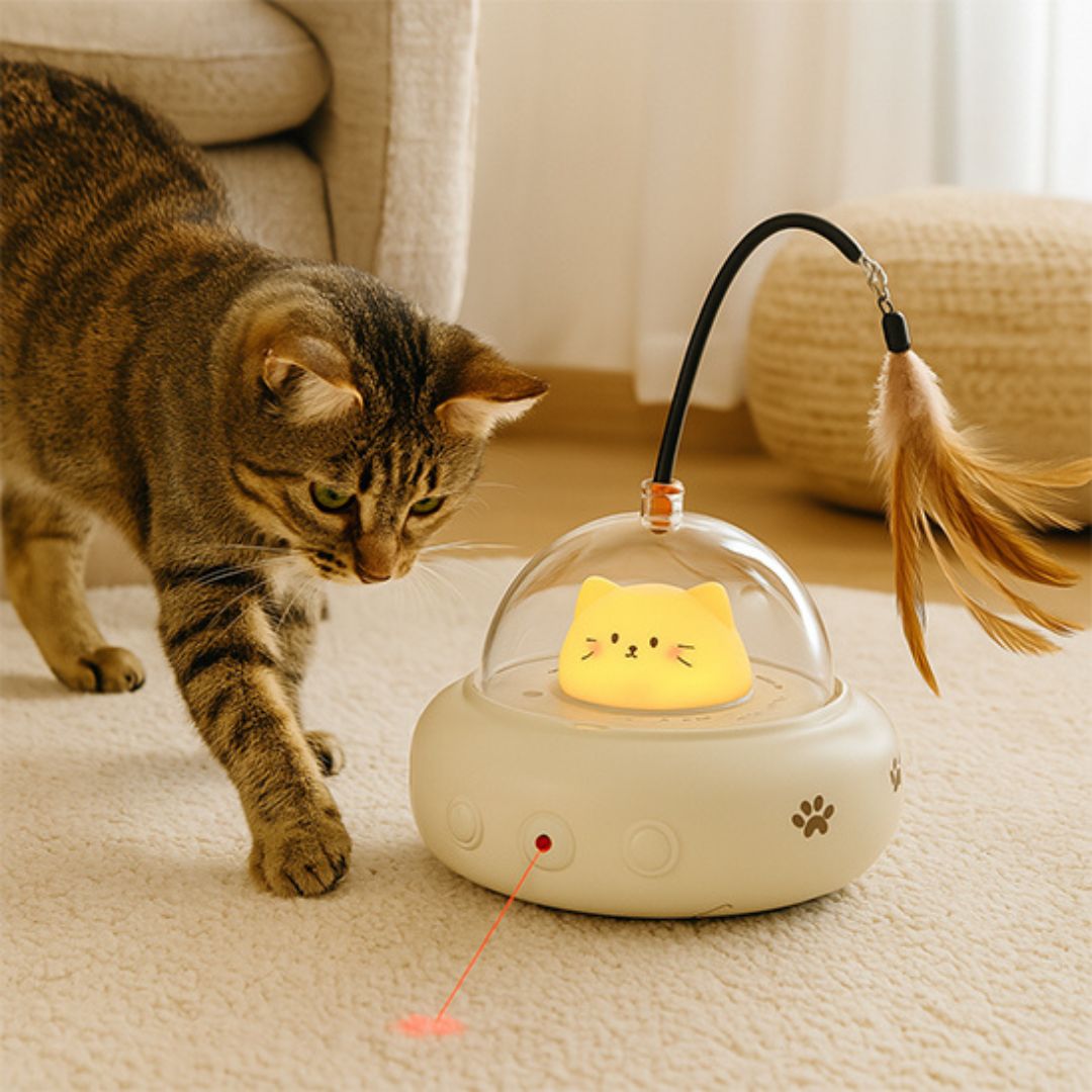 jouet-pour-chat-laser