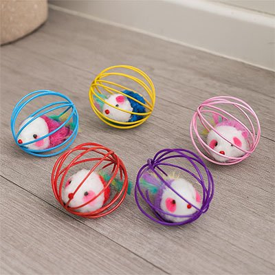 jouet-pour-chat-lot
