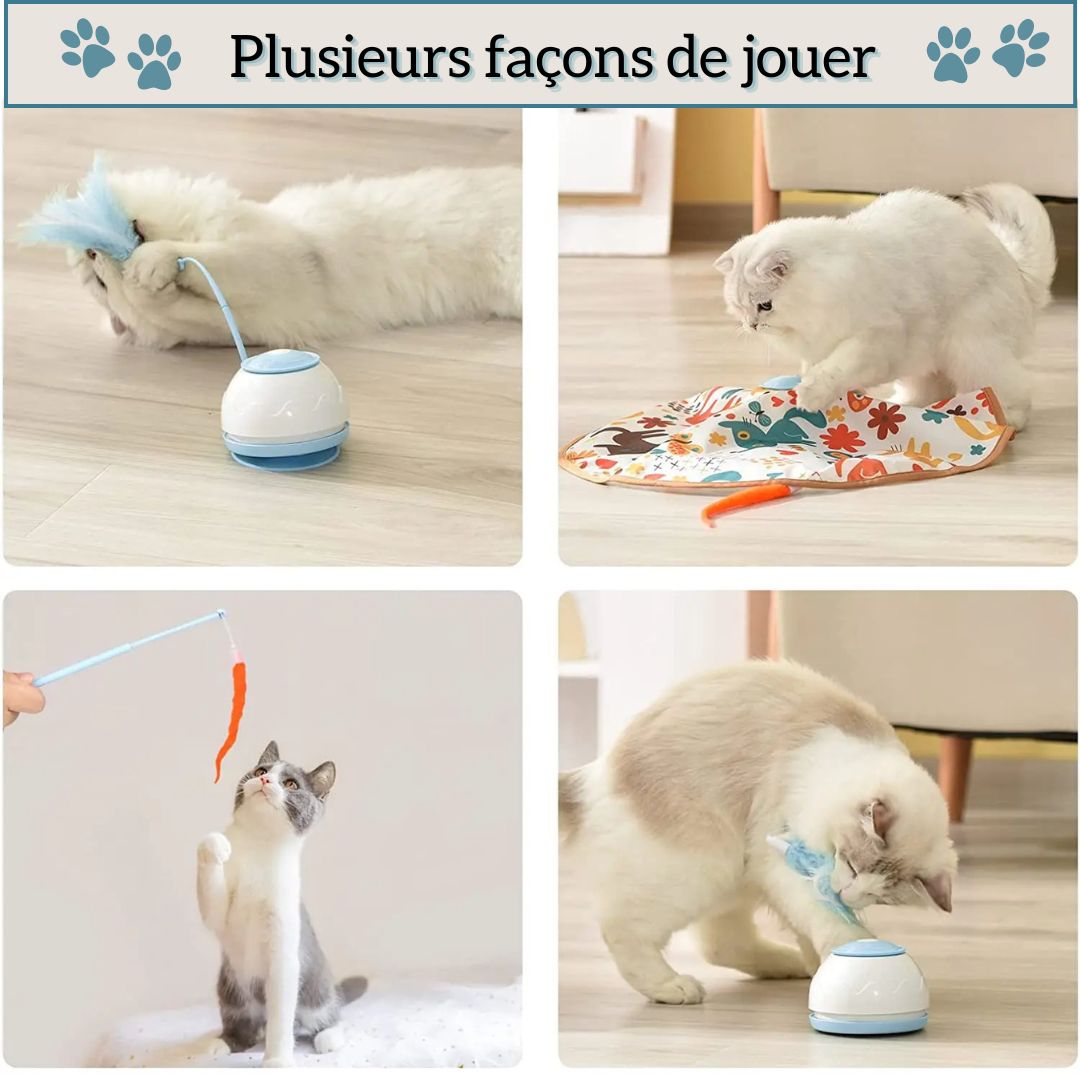 Jouet pour chat | CrazyPlume™