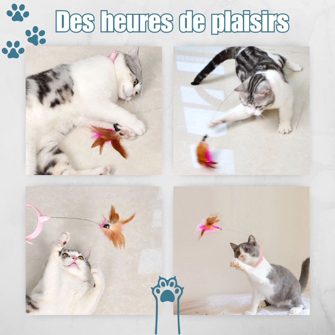 Jouet pour chat | ColiPlume™