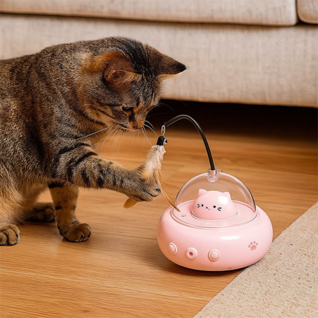 jouet-pour-chat-plume