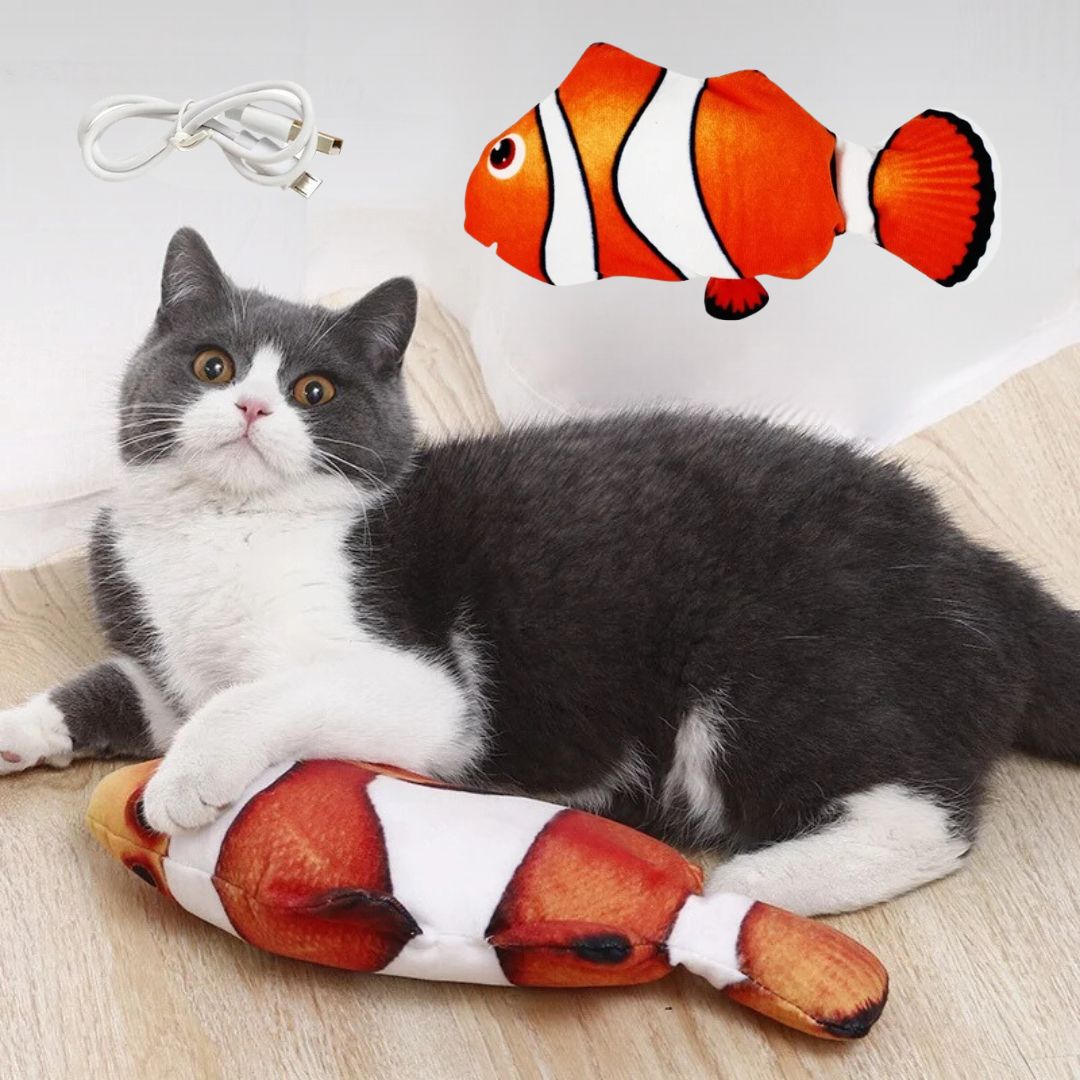 jouet-pour-chat-poisson-orange