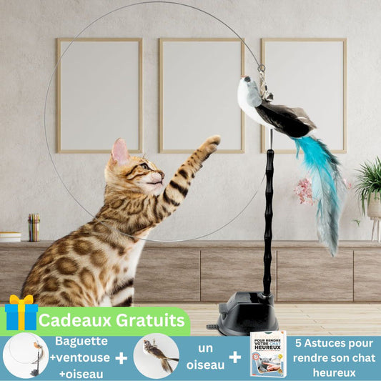 Jouet pour chat | TrappBird™