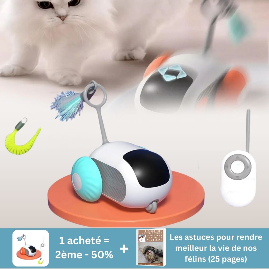 Jouet pour chat | PurrChase™