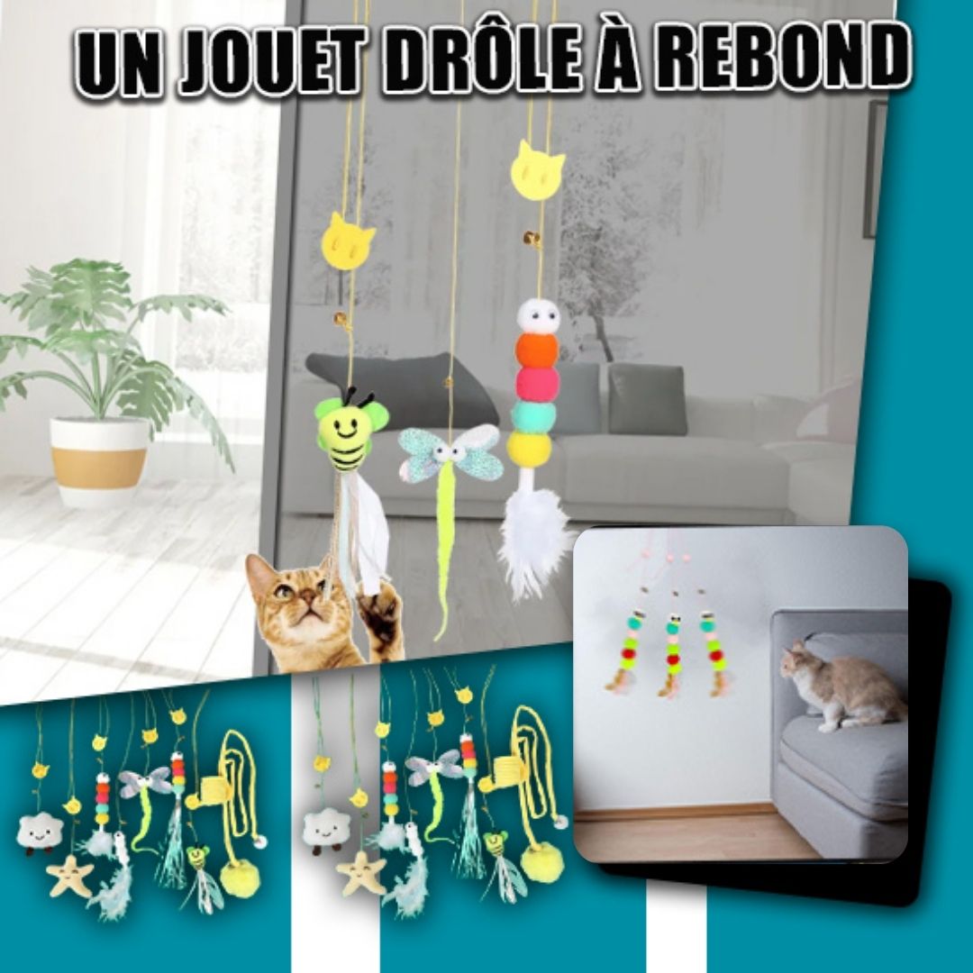 jouet-pour-chat-rebond