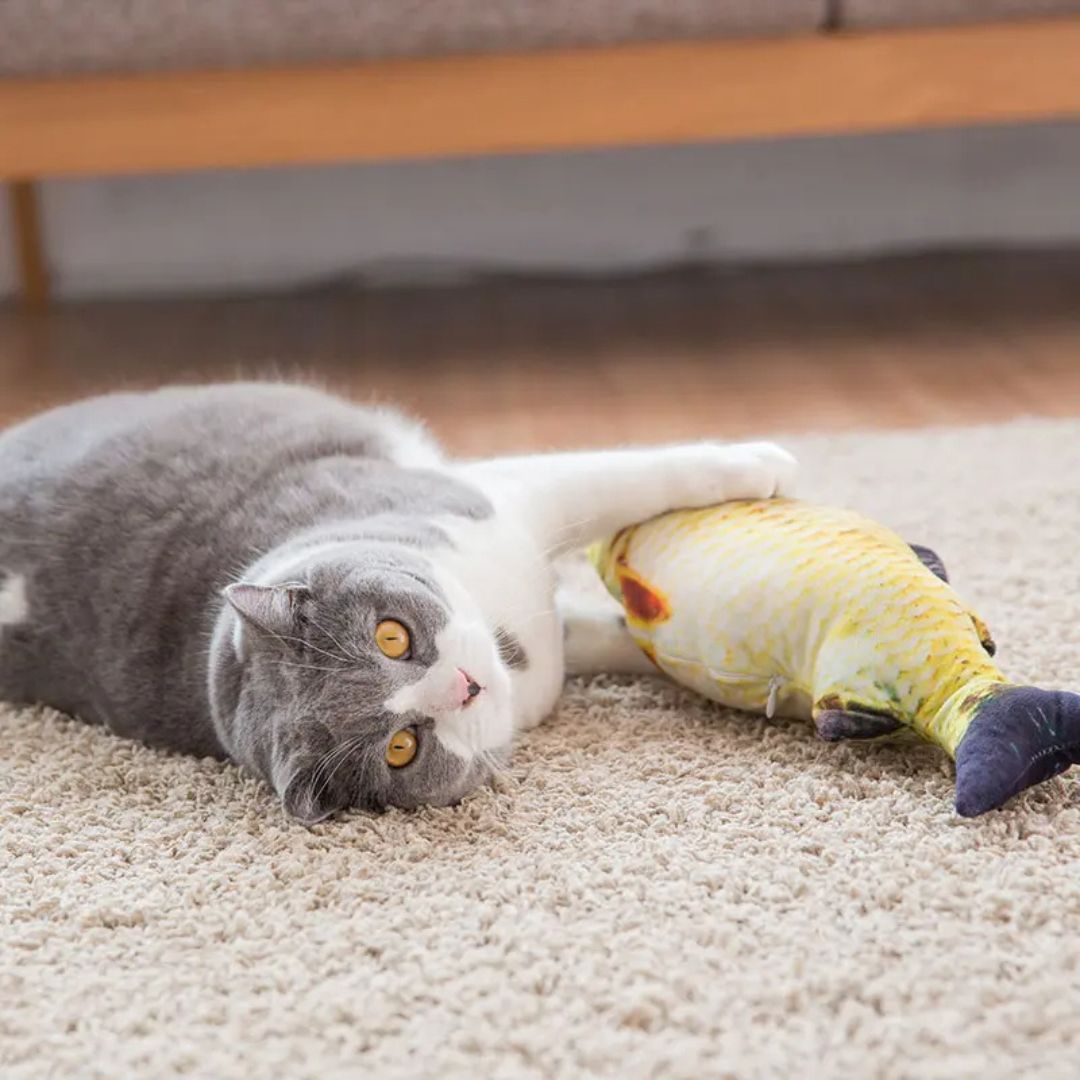 jouet-pour-chat-regard