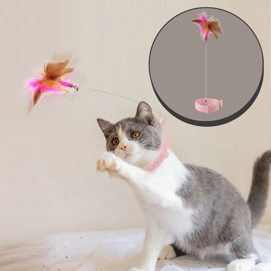 Jouet pour chat | ColiPlume™