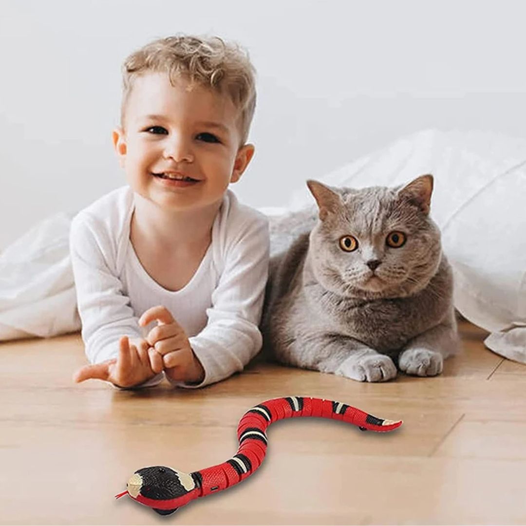 jouet-pour-chat-serpent