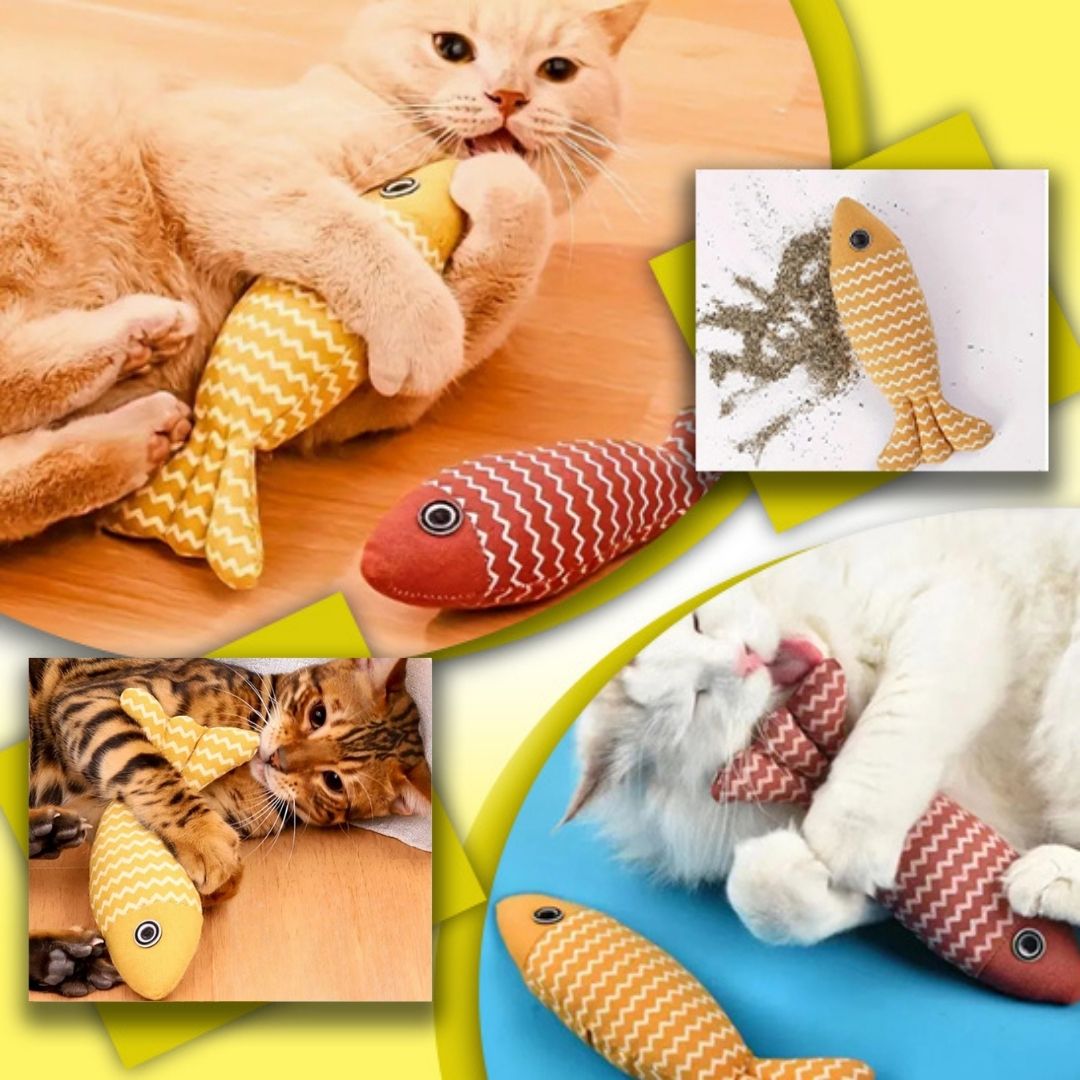 Jouet pour chat | Nip N Fish™