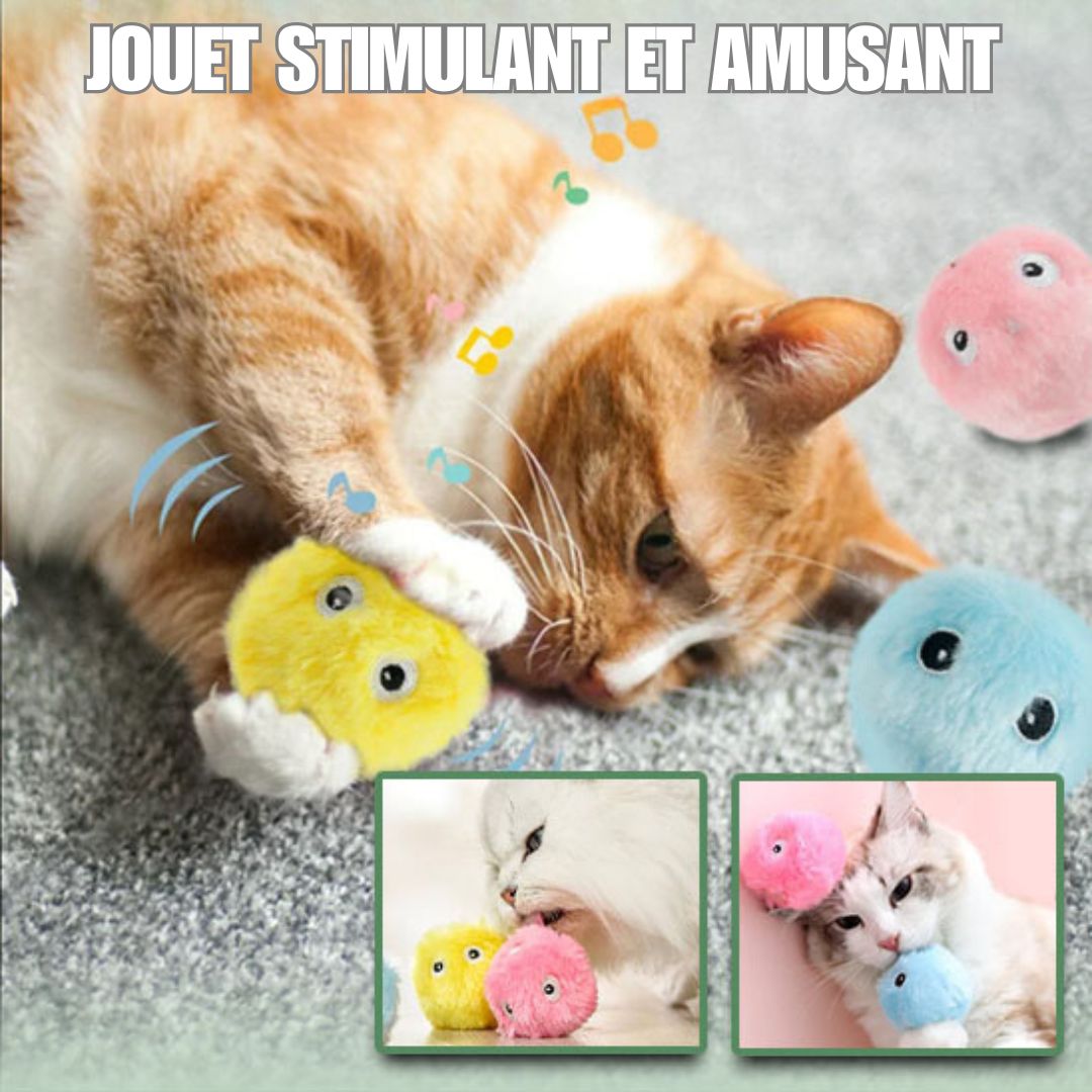 Jouet pour chat | JouFélin™