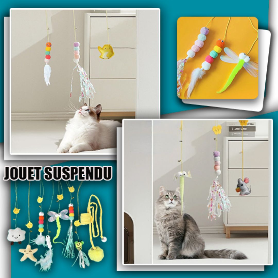 jouet-pour-chat-suspendu