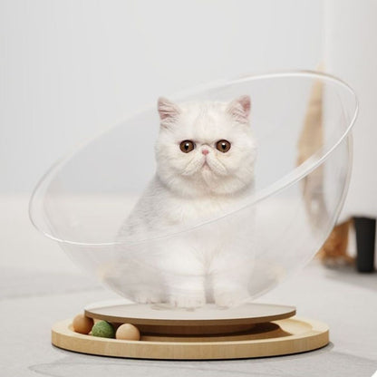 lit-pour-chat-bille
