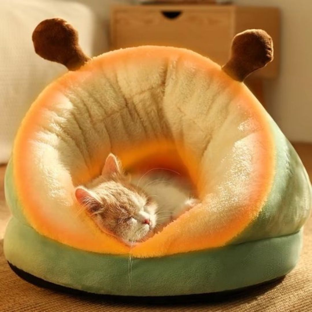 Lit pour chat – Mon chat D'amour