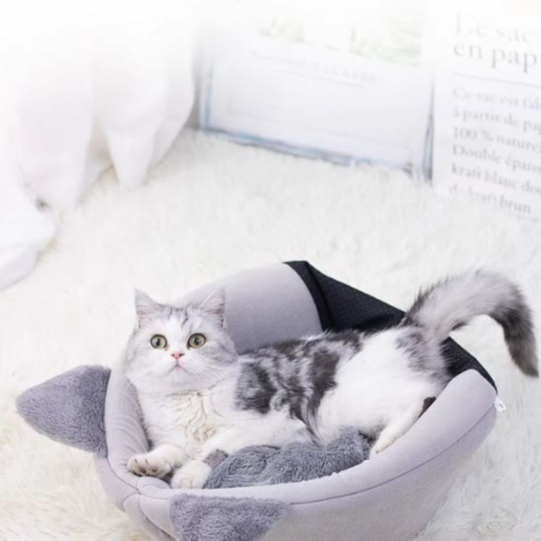 niche-pour-chat-dessus