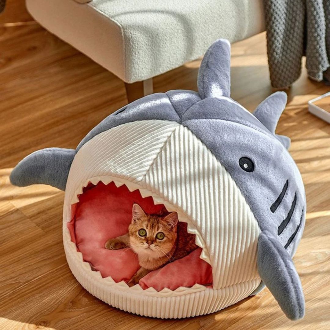 niche-pour-chat-requin