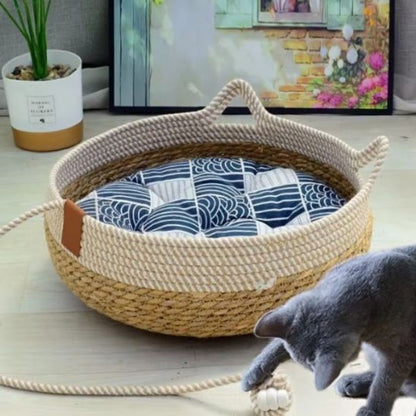 panier-chat-balle