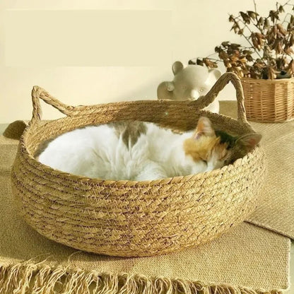 panier-chat-sommeil
