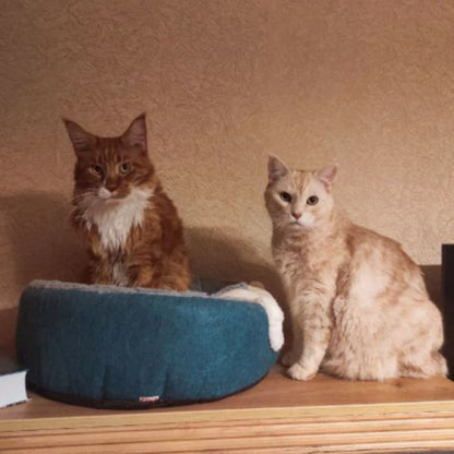 panier-pour-chat-dessus