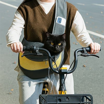 Sac de transport Chat | VoyageConfort™