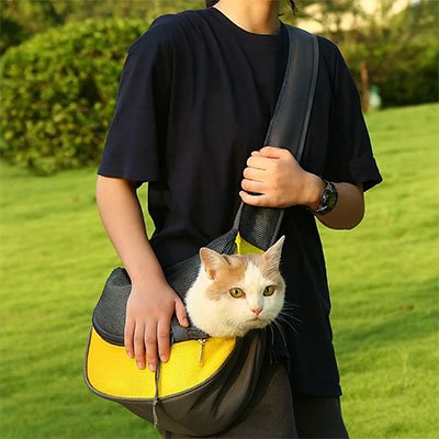 Sac de transport Chat | VoyageConfort™