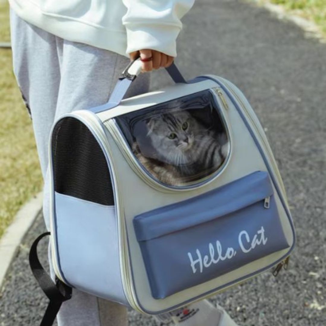 sac-a-dos-chat-bleu-portee