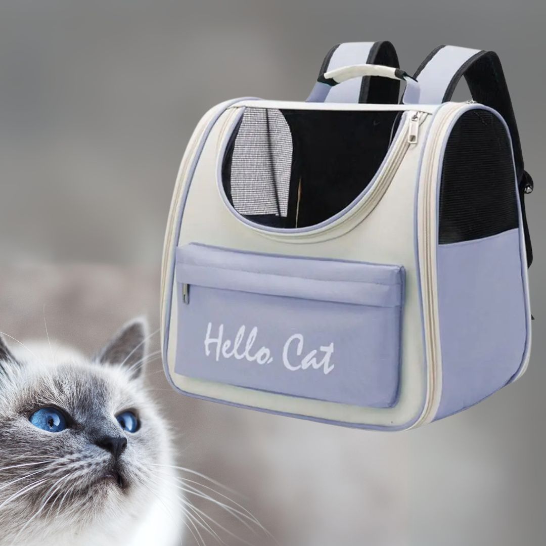 sac-a-dos-chat-bleu