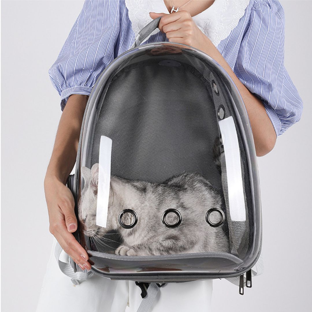 sac-a-dos-chat-coucher