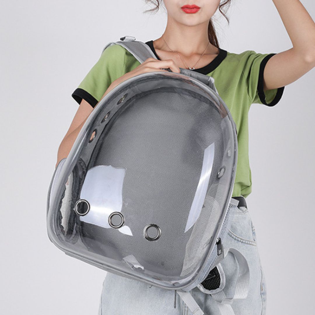 sac-a-dos-chat-gris-couleur