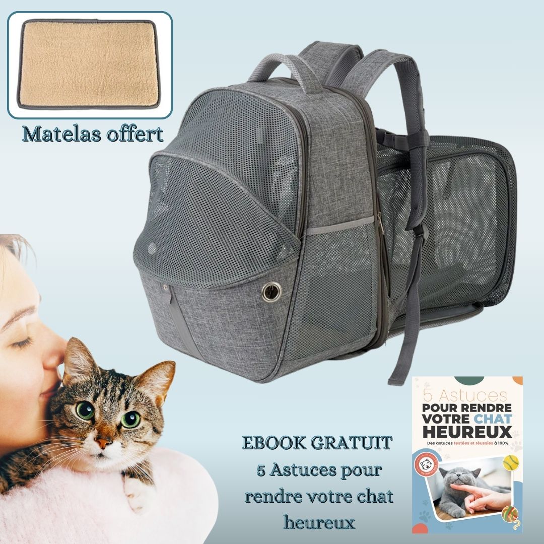 sac-a-dos-chat-gris