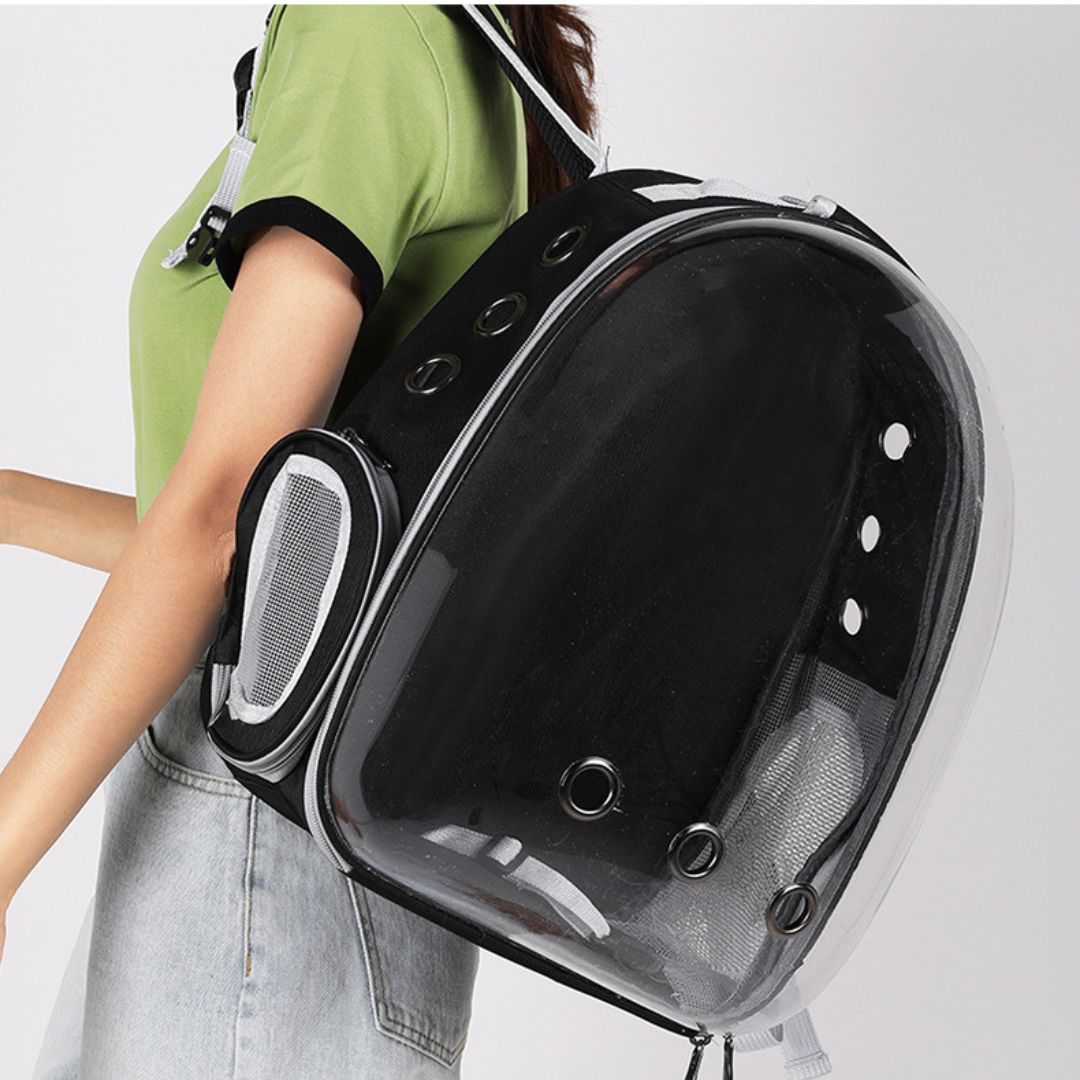 sac-a-dos-chat-noir