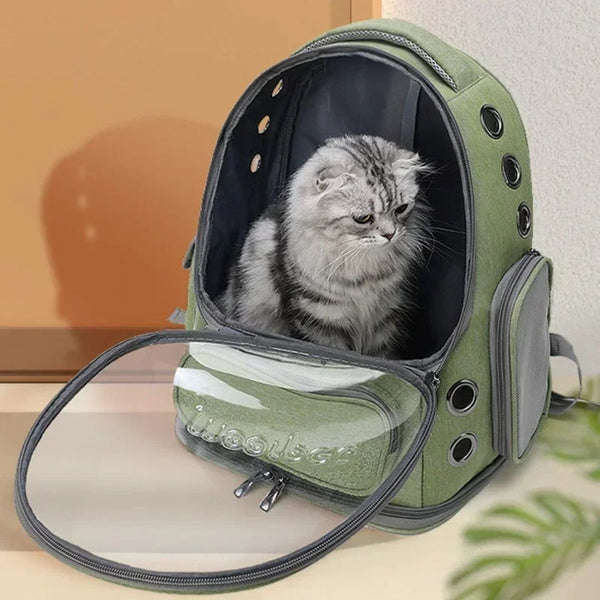 Torchon MADE IN FRANCE - LA COURSE DES CHATS de DUBOUT - Cazaméa