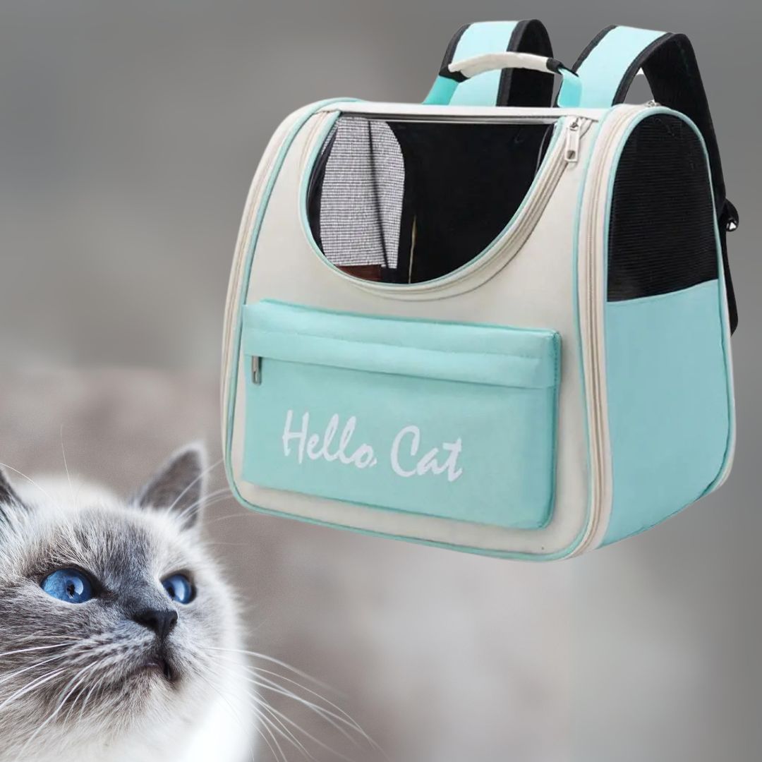 sac-a-dos-chat-turquoise