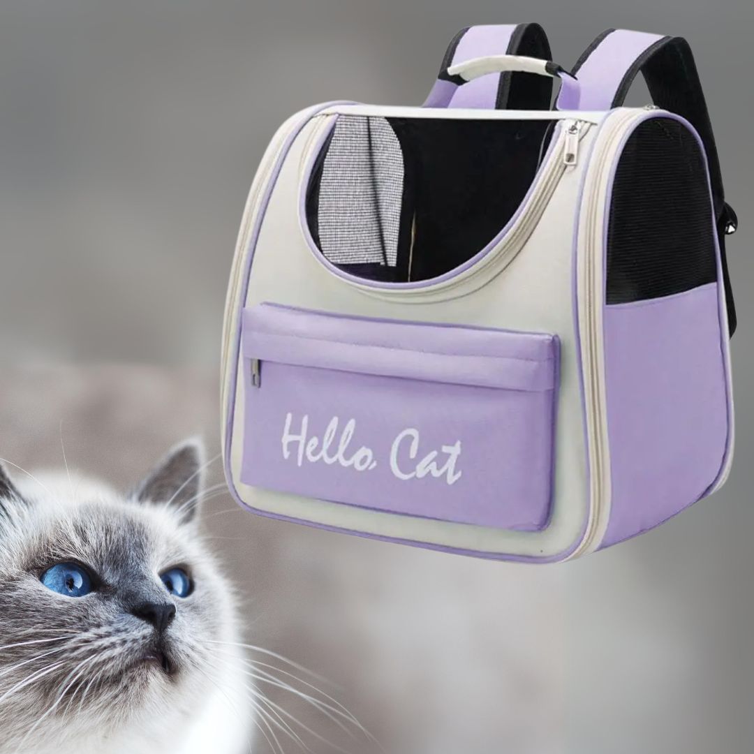 sac-a-dos-chat-violet